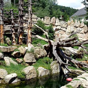 Alpenzoo Innsbruck - Bear exhibit