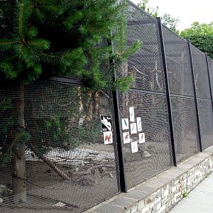 Alpenzoo Innbruck - Aviary