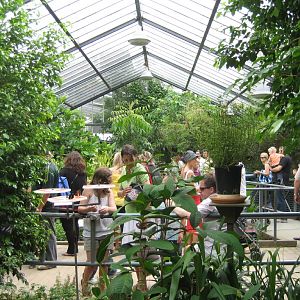 Butterfly House, 2007