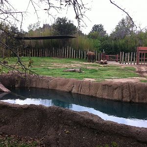 CPZ elephant enclosure