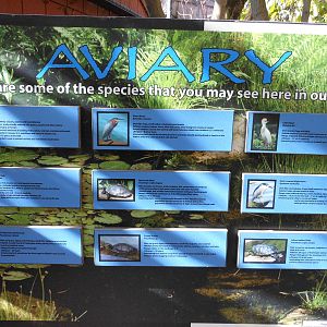 Beardsley Zoo- Alligator Alley- Walk-through Aviary Signage