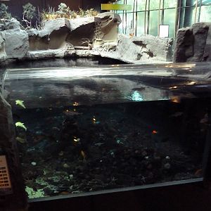 Strait Of Georgia Exhibit