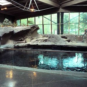 Strait Of Georgia Exhibit