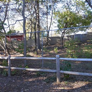 Beardsley Zoo- Alligator Alley- Part 1 of Sandhill Crane Exhibit