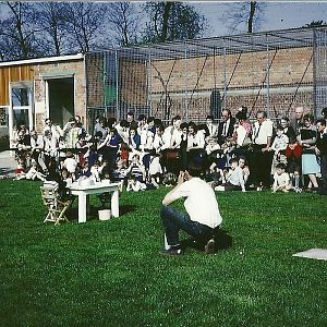 Chimpanzees' Tea Party 1966