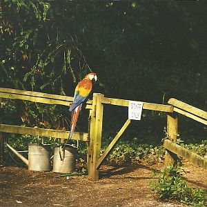 Rode (closed) 1st April 1999