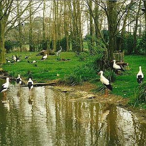 Rode (closed) 1st April 1999