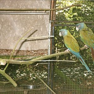 Rode (closed) 13th September 2000