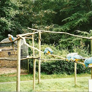 Rode (closed) 13th September 2000