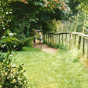 Rode (closed) 13th September 2000