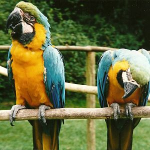 Rode (closed) 13th September 2000