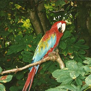 Rode (closed) 13th September 2000