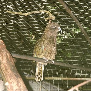 Rode (closed) 13th September 2000