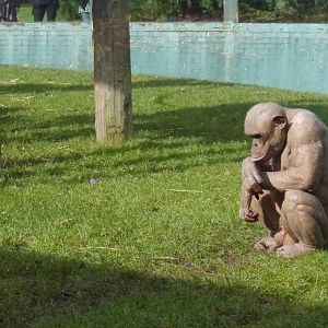 Twycross zoo - (2/3/2012)