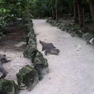 walk-through enclosure !