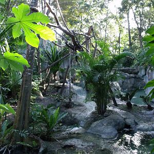 Biouniverzoo Chetumal