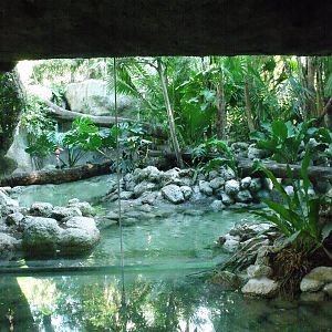 Biouniverzoo Chetumal