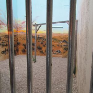 Indoor Raptor Mews - Aplomado Falcon