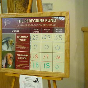 Velma Morrison Interpretive Area