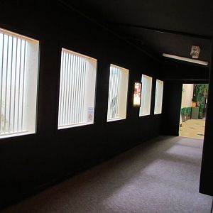 Indoor Raptor Mew Viewing Hall