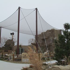 Condor Cliffs - California Condor