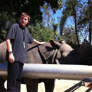 Myself petting indian rhino