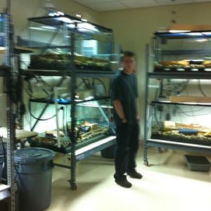 Myself in Off exhibet reeding centre for endangered frogs native to the San