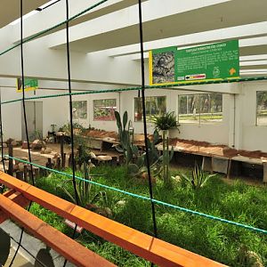 Tordugario - another house for reptiles