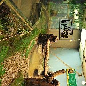 Stylish snaky Reptile house