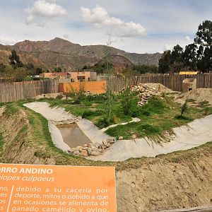 New Andean Fauna Complex