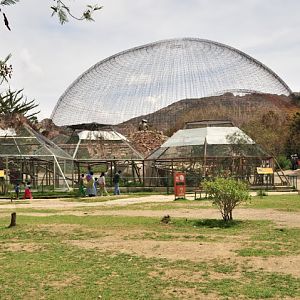 Great Aviary and complex for Nasua nasua and Eira barbara