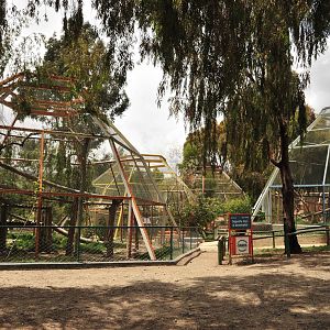 Enclosures for small carnivores