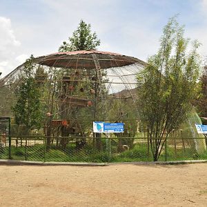 Parrot aviaries