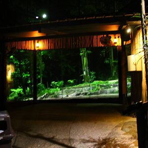 East Lodge Trail - Malayan Tiger exhibit