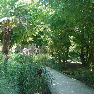 Pantanal walkthrough aviary