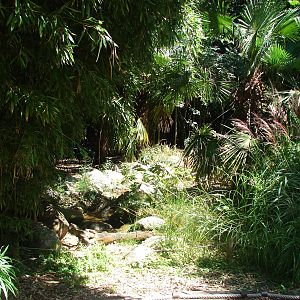 Pantanal walkthrough aviary