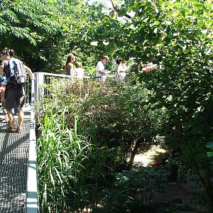 Pantanal walkthrough aviary