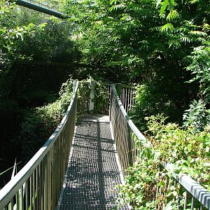 Pantanal walkthrough aviary