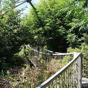 Pantanal walkthrough aviary