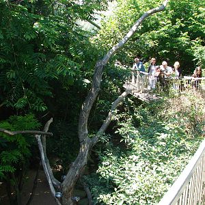 Pantanal walkthrough aviary