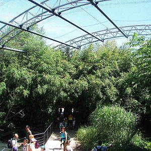 Pantanal walkthrough aviary