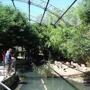 Pantanal walkthrough aviary