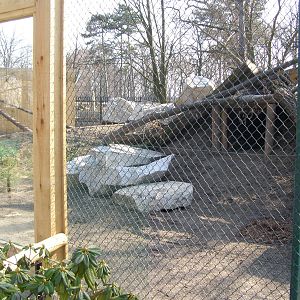 new exposure of lynxes