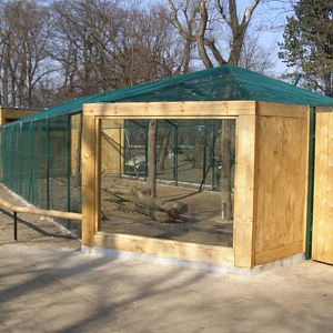 new exposure of wildcats