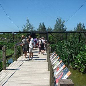 Australian walkthrough aviary