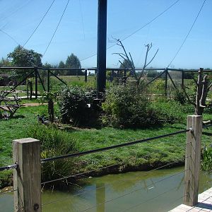 Australian walkthrough aviary