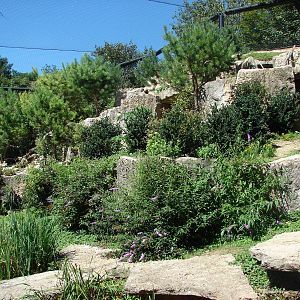 European birds of prey walkthrough aviary