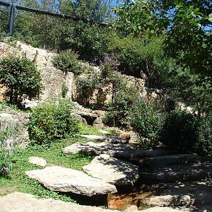 European birds of prey walkthrough aviary