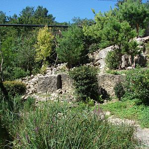 European birds of prey walkthrough aviary