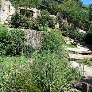 European birds of prey walkthrough aviary